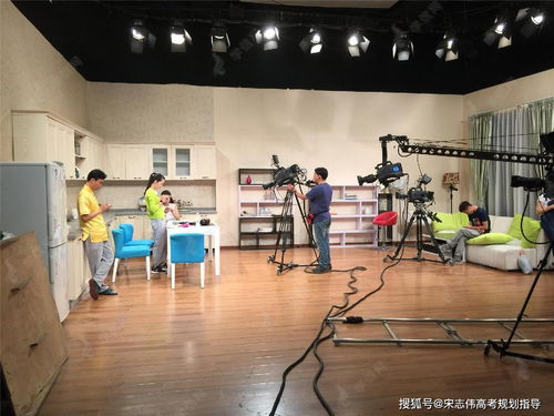 广播电视编导 知识背景 大学课程 职业技能 从业资格 薪酬待遇 发展前景