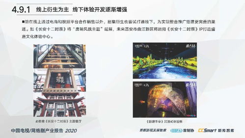 中国电视 网络剧产业报告2020
